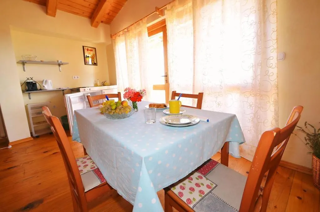 Villa Visnjan Residence 0*,